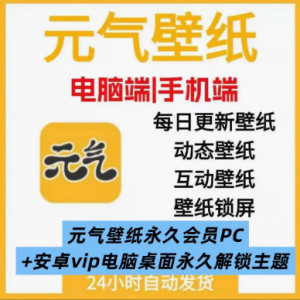 元气桌面 永久vip 终生会员 美化桌面-资源后花园