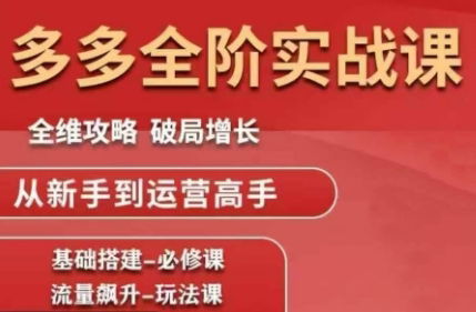 大炮·拼多多全阶实战课程(更新2026)-资源后花园