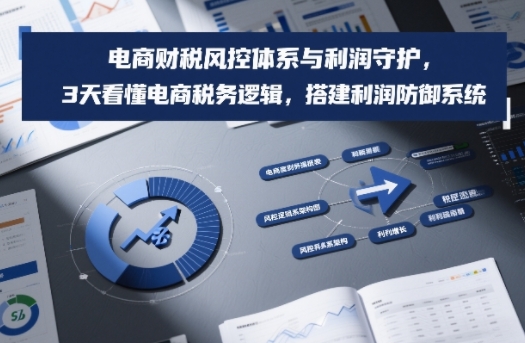 电商财税风控体系与利润守护，3天看懂电商税务逻辑，搭建利润防御系统-资源后花园