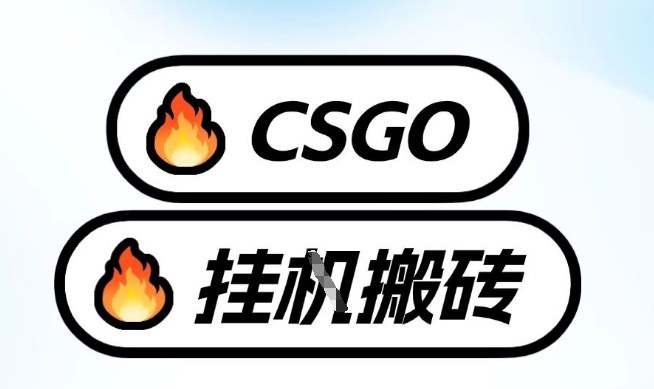 真全网独家CSGO挂G，最新玩法,单日捡漏1K+，不用电脑，不用打游戏【揭秘】-资源后花园