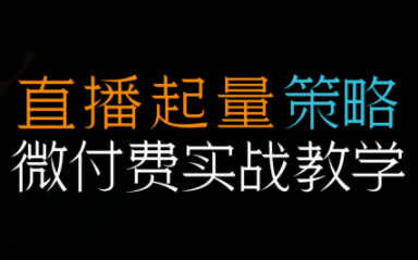 半野老师·直播带货起量与微付费必学课视频号-资源后花园