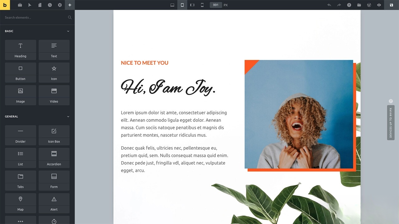 WordPress主题Bricks v1.9 破解版-资源后花园