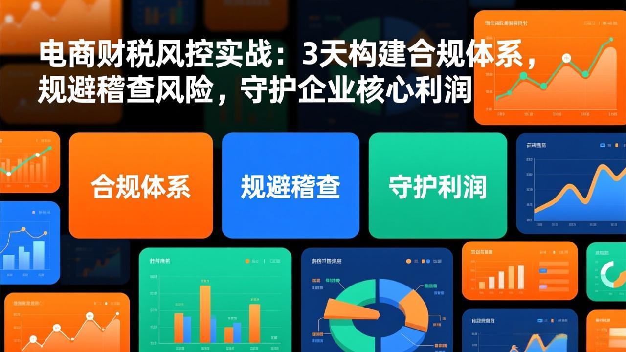 电商财税风控实战：3天构建合规体系，规避稽查风险，守护企业核心利润-资源后花园