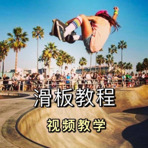 长板滑板双翘滑板教学视频教程初学者新手零基础入门自学花样刷街-资源后花园