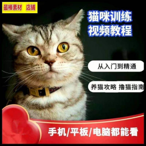 猫咪训练+养猫攻略大全技巧秘诀自学教程课程视频-资源后花园