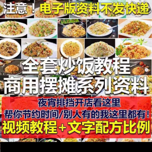 花式炒饭视频教程 泡菜蛋炒饭海鲜盖饭制作 特色小吃配方技术课程-资源后花园