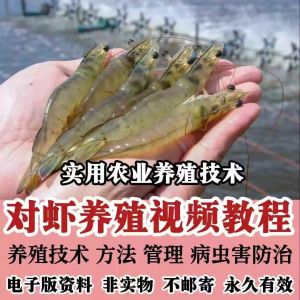 对虾养殖技术视频教学教程水质管理日常养护疾病防治南美白素材-资源后花园
