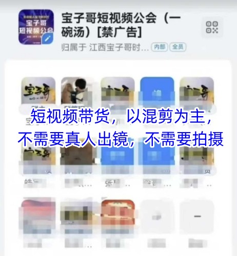 宝子哥头部团队短视频带货，以混剪为主，不需要真人出镜，不需要拍摄【更新26年1月】-资源后花园