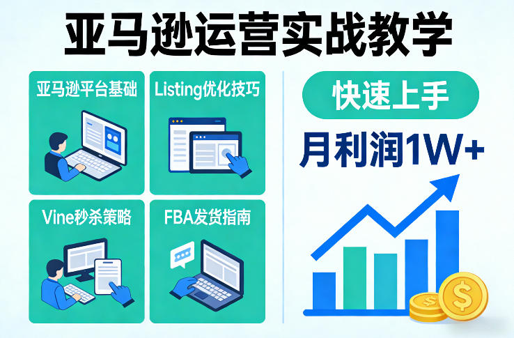 亚马逊运营实战教学，亚马逊平台+Listing优化+Vine秒杀+FBA发货等，快速上手，实现店铺月利润1W-资源后花园