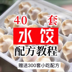 【0.01秒发】40套水饺技术配方 特制技术视频教程-资源后花园