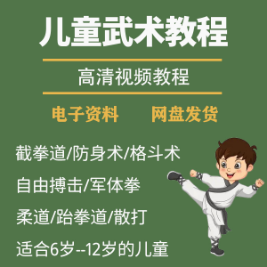 少儿童武术视频教程零基础自学咏春散打擒拿泰拳跆拳道防身术课程-资源后花园