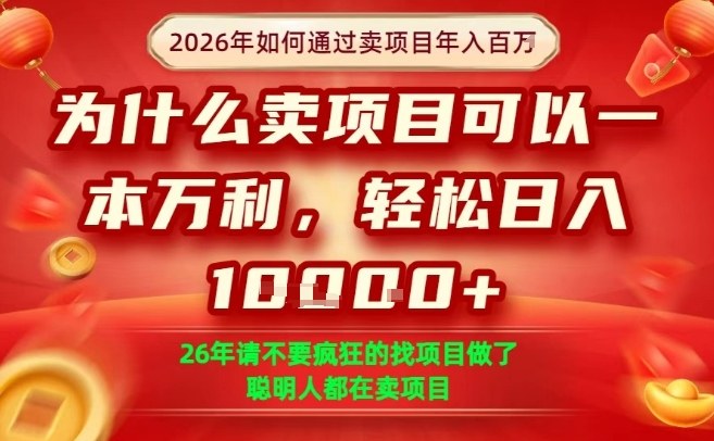 一单净利润1K+，26年想年入100个W，死磕卖项目就够了【揭秘】-资源后花园
