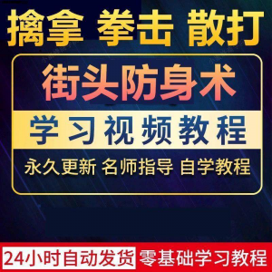 街头防身术擒拿拳击散打视频教程全套入门自学零基础学习教程视频-资源后花园