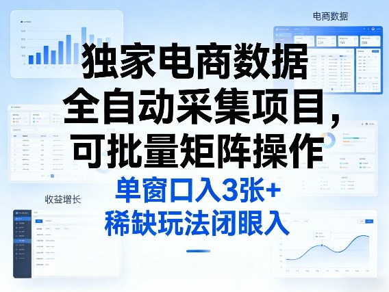 独家电商数据全自动采集项目，可批量矩阵操作，单窗口日入3张+，稀缺玩法闭眼入【揭秘】-资源后花园