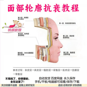 美商课程面部轮廓抗衰美肤减龄变美视频教程形象管理内在美好气色-资源后花园