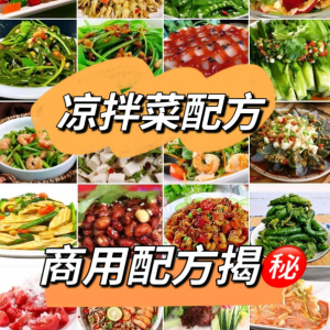 摆地摊街边特色自选拌凉菜小菜制作小吃技术配方教程培训视频教学-资源后花园