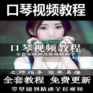 口琴自学教程视频零基础初学者入门到专业十孔24孔教学-资源后花园