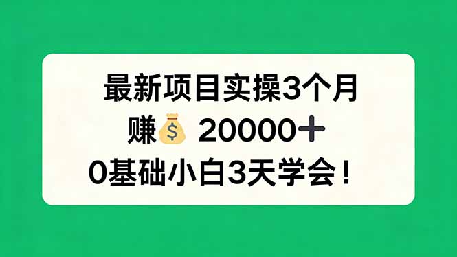 最新项目实操3个月，赚钱20000+，0基础小白3天学会！-资源后花园