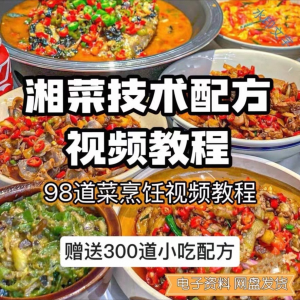 【0.01秒发】98道湘菜技术配方视频教程商用湖南菜炒菜特色小吃-资源后花园