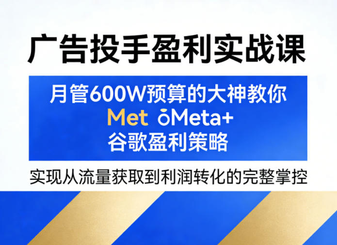 广告投手盈利实战课，月管600W预算的大神教你Meta+谷歌盈利策略，实现从流量获取到利润转化的完整掌控-资源后花园