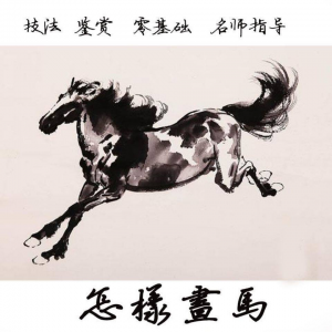 怎么画马视频教程教学自学画马技巧全套零基础入门到提高名水墨画-资源后花园