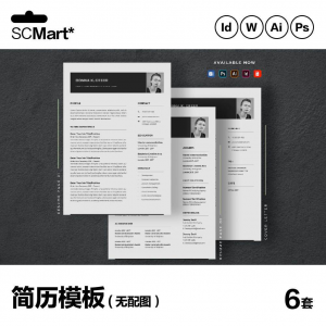 6套高级英文简历Word简历 ai psd设计师简历模板毕业生简历CV29-资源后花园