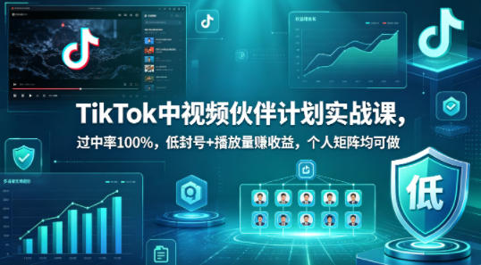 TikTok中视频伙伴计划实战课，过中率100%，低封号+播放量賺收益，个人矩阵均可做-资源后花园