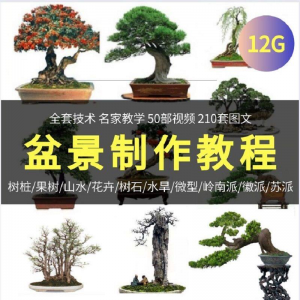 盆景制作技术视频教程工艺教学果树桩山水微型造型全套-资源后花园