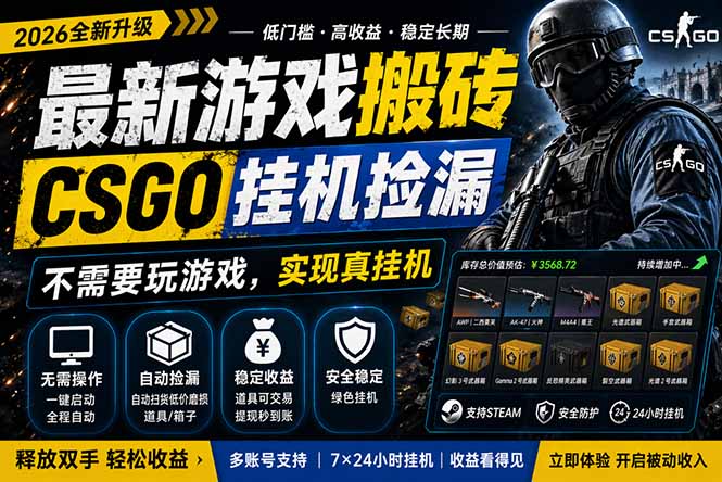 最新游戏搬砖，CSGO纯挂机，不需要玩游戏，实现真挂机，月入1W+，五一小高峰上车可吃肉，…-资源后花园