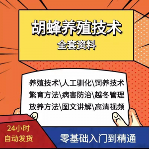 胡蜂养殖技术蜜蜂视频资料黄蜂黑盾怎样养胡蜂人工饲养教程大全-资源后花园