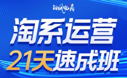 白凤电商·淘系运营21天速成班(更新4月)-资源后花园