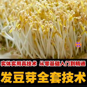 自学发豆芽技术资料豆芽加工制作方法教学 培育豆芽商用视频教程-资源后花园