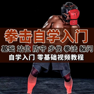 全套拳击指导视频教程自学零基础小白入门自卫搏击格斗防护资料-资源后花园