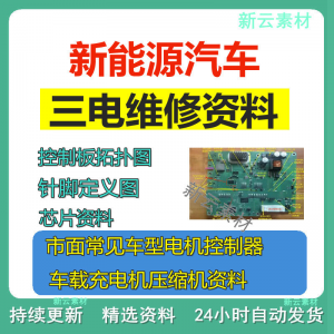 新能源汽车维修资料拓扑原理针脚图芯片三电控制器充电机压缩机-资源后花园