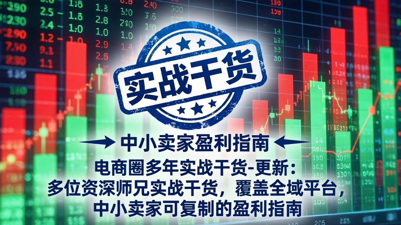 电商圈多年实战干货-更新5月10:多位资深师兄实战干货/覆盖全域平台,中小卖家可复制的盈利指南