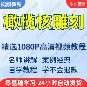 橄榄核雕刻视频学习教程新手自学零基础入门精通教学课程全集-资源后花园