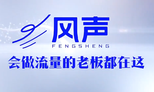 董十一·风声短视频AI获客年度会员-资源后花园