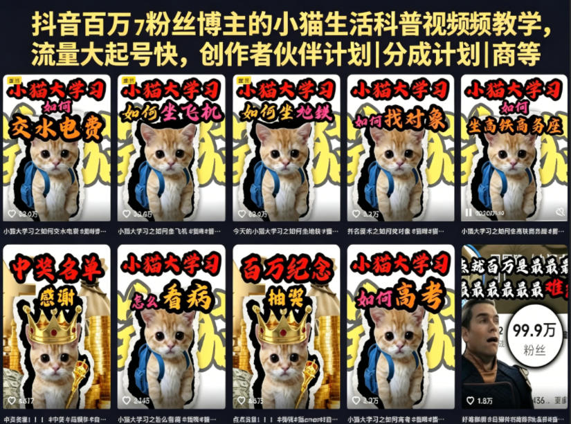 抖音百万粉丝博主的小猫生活科普视频教学，流量大起号快，创作者伙伴计划|分成计划|商单|收徒等-资源后花园