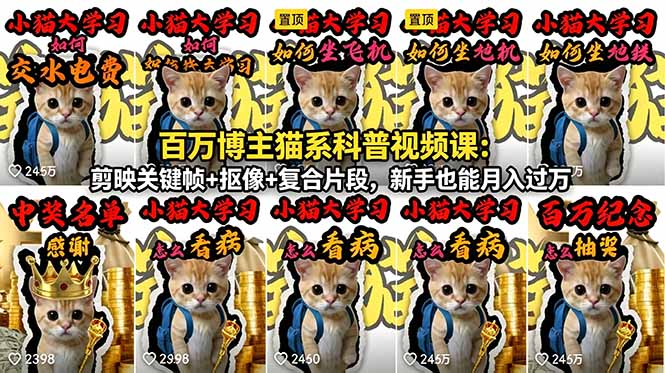 百万博主猫系科普视频课：剪映关键帧+抠像+复合片段，新手也能月入过万-资源后花园