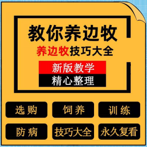 边牧训练方法教程边境牧羊犬驯养技术饲养喂养选购训犬技巧大全套-资源后花园