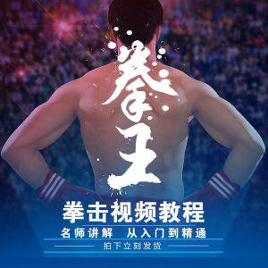 拳击教学视频 自学教程 训练零基础运动入门健身搏击格斗武术课程-资源后花园