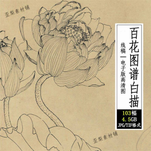 百花图谱白描线稿图集 国画花卉植103幅tif格式3.6G高清图片素材-资源后花园