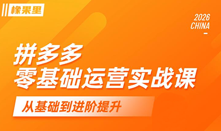 仙道电商·拼多多零基础运营实战课-资源后花园