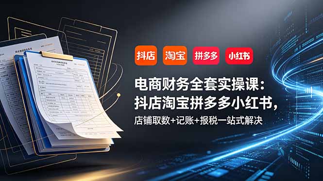 电商财务全套实操课：抖店淘宝拼多多小红书，店铺取数+记账+报税一站式解决-资源后花园