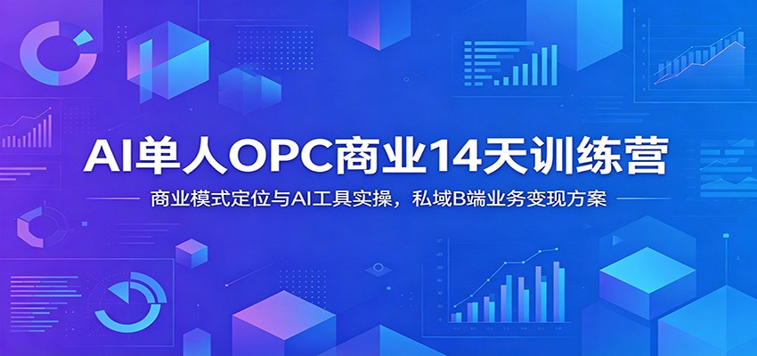 AI单人OPC商业14天训练营：商业模式定位与AI工具实操，私域B端业务变现方案-资源后花园