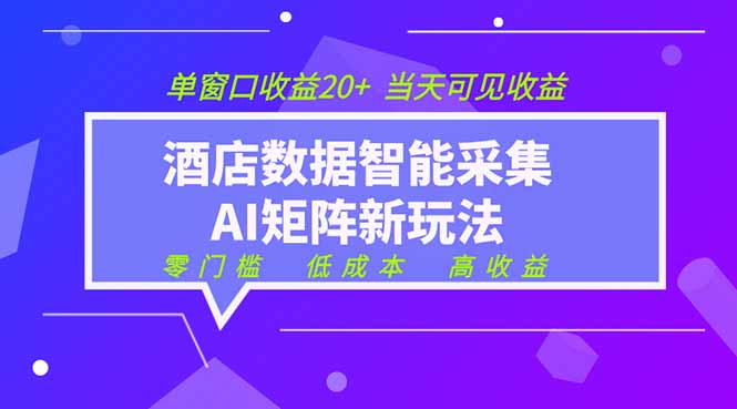 2026酒店数据采集ai智能矩阵新风口  低成本   高收益   当天见收益   单窗口20+-资源后花园