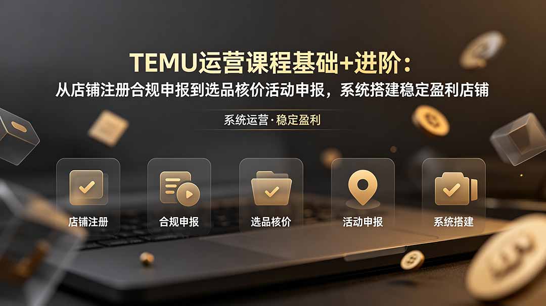 TEMU运营课程(基础+进阶-资源后花园