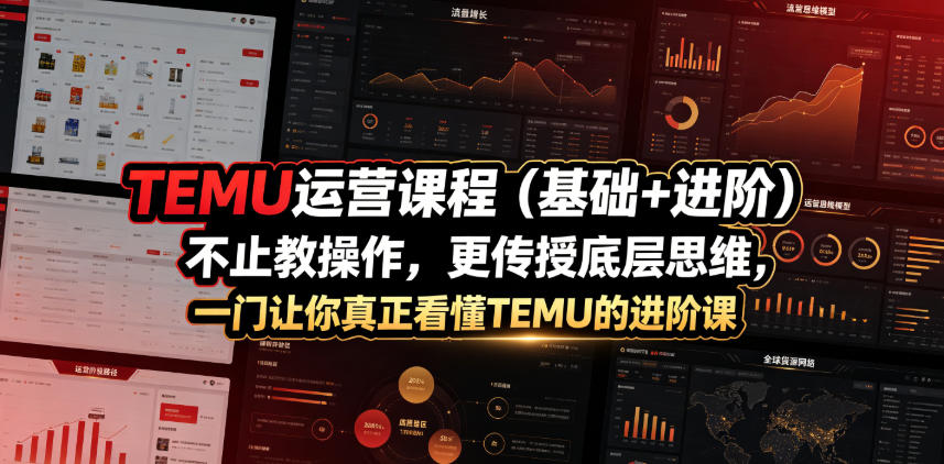TEMU运营课程(基础+进阶)，不止教操作，更传授底层思维，一门让你真正看懂TEMU的进阶课-资源后花园