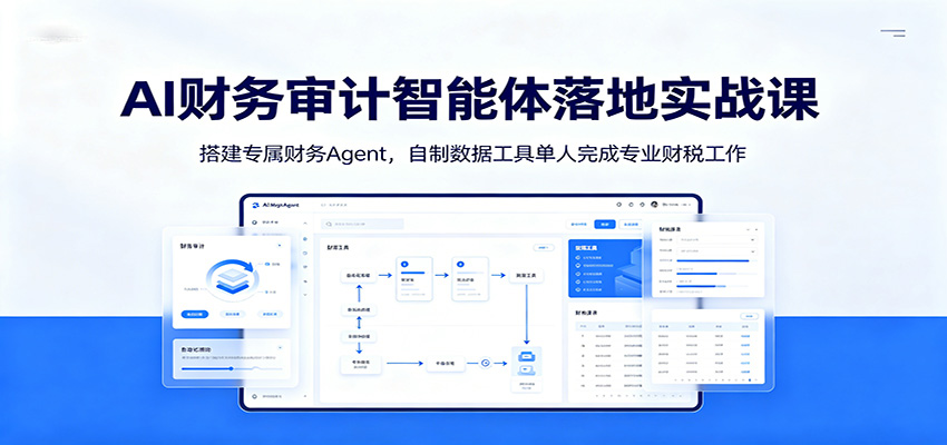 AI财务审计智能体落地实战课：搭建专属财务Agent，自制数据工具单人完成专业财税工作-资源后花园