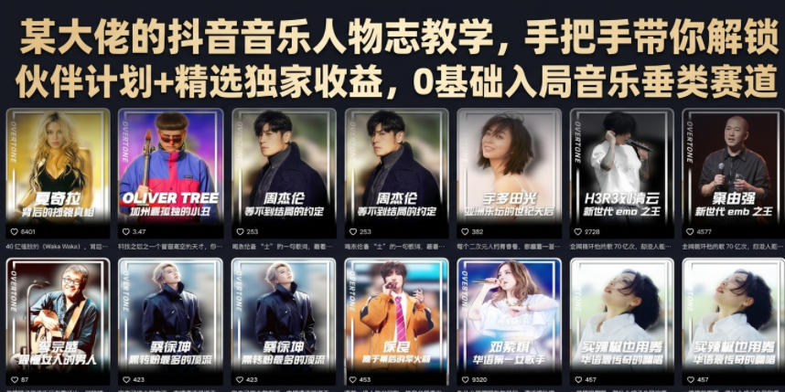 某大佬的抖音音乐人物志教学，手把手带你解锁伙伴计划+精选独家收益，0基础入局音乐垂类赛道-资源后花园